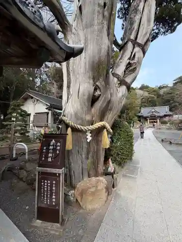 伊古奈比咩命神社(静岡県)