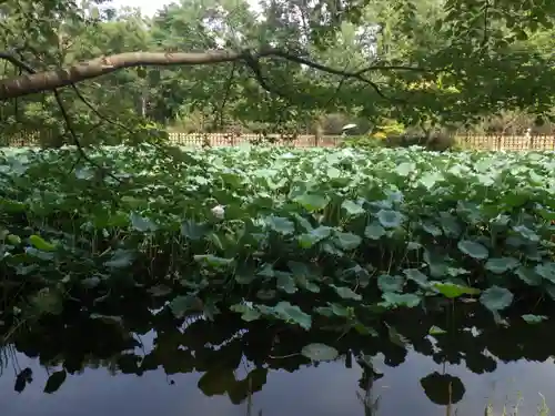 御髪神社の周辺