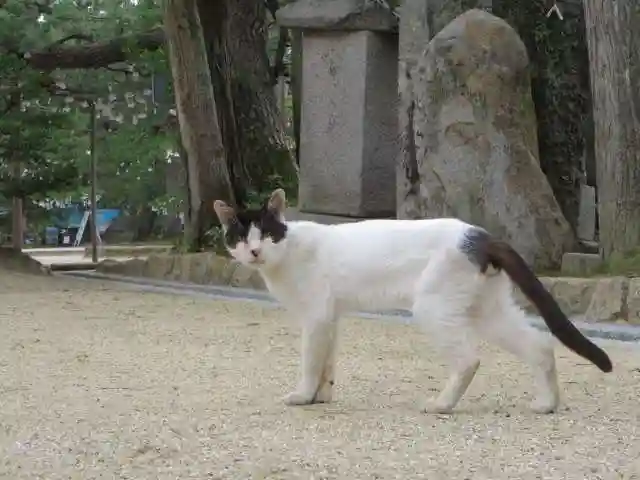 智恩寺(京都府)