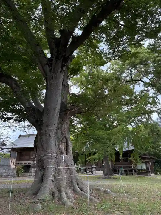 千勝神社(茨城県)