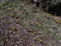 正観音堂(福島県)