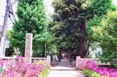 渋谷氷川神社の自然