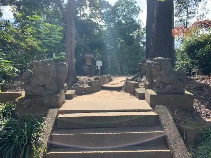 鶴峯八幡宮の狛犬