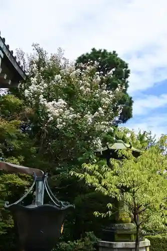 龍雲寺(東京都)