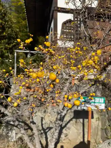 元三大師安楽寺の{uncategorized: "未分類", other: "その他", undefined: "問題あり", building: "その他建物", grave: "お墓", sacred_gate: "鳥居", guardian: "狛犬", statue: "像", buddha: "仏像", history: "歴史", nature: "自然", garden: "庭園", animal: "動物", pagoda: "塔", temizu: "手水舎", mountain_gate: "山門・神門", sanctuary: "本殿・本堂", subordinate: "末社・摂社", art: "芸術", scenery: "景色", jizo: "地蔵", ema: "絵馬", goshuin: "御朱印", omikuji: "おみくじ", items: "授与品その他", amulet: "お守り", goshuincho: "御朱印帳", eats: "食事", festival: "お祭り", votive_dance: "神楽", shichigosan: "七五三参", wedding: "結婚式", experience: "体験その他", initially: "初詣", around: "周辺", anti_infection: "感染症対策"}
