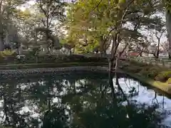 瀧宮神社(埼玉県)