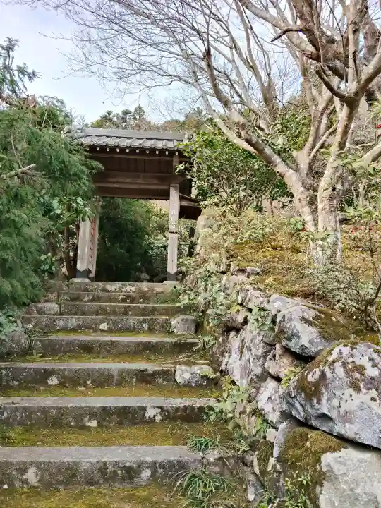 桂徳院の{uncategorized: "未分類", other: "その他", undefined: "問題あり", building: "その他建物", grave: "お墓", sacred_gate: "鳥居", guardian: "狛犬", statue: "像", buddha: "仏像", history: "歴史", nature: "自然", garden: "庭園", animal: "動物", pagoda: "塔", temizu: "手水舎", mountain_gate: "山門・神門", sanctuary: "本殿・本堂", subordinate: "末社・摂社", art: "芸術", scenery: "景色", jizo: "地蔵", ema: "絵馬", goshuin: "御朱印", omikuji: "おみくじ", items: "授与品その他", amulet: "お守り", goshuincho: "御朱印帳", eats: "食事", festival: "お祭り", votive_dance: "神楽", shichigosan: "七五三参", wedding: "結婚式", experience: "体験その他", initially: "初詣", around: "周辺", anti_infection: "感染症対策"}