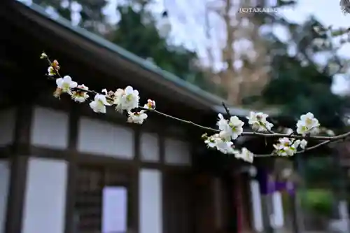 永谷天満宮(神奈川県)