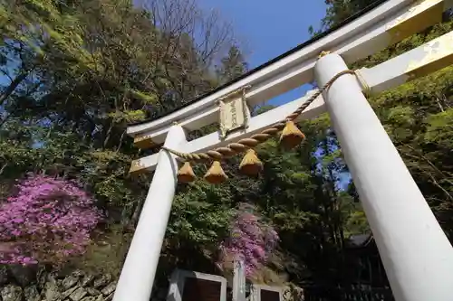 宝登山神社の鳥居