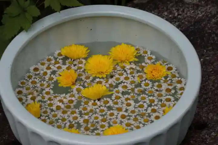 開成山大神宮の手水舎