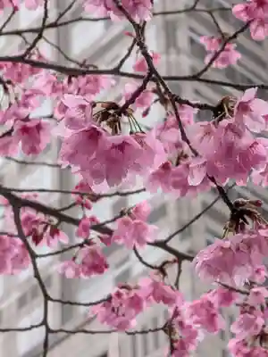熊野神社(東京都)