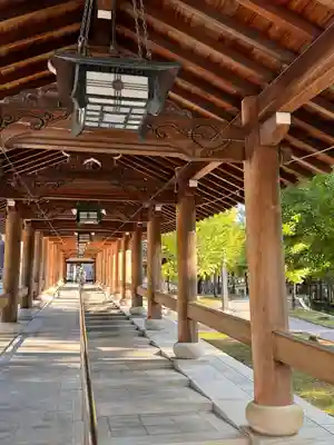 清大寺(越前大仏)(福井県)