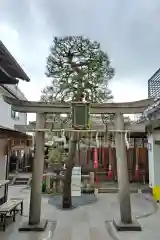 市比賣神社(京都府)