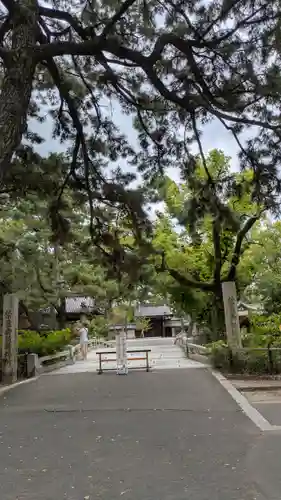 住吉大社の自然