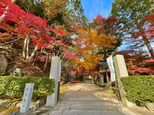 瓦屋寺の山門