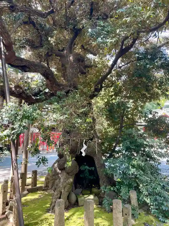 金王八幡宮の{uncategorized: "未分類", other: "その他", undefined: "問題あり", building: "その他建物", grave: "お墓", sacred_gate: "鳥居", guardian: "狛犬", statue: "像", buddha: "仏像", history: "歴史", nature: "自然", garden: "庭園", animal: "動物", pagoda: "塔", temizu: "手水舎", mountain_gate: "山門・神門", sanctuary: "本殿・本堂", subordinate: "末社・摂社", art: "芸術", scenery: "景色", jizo: "地蔵", ema: "絵馬", goshuin: "御朱印", omikuji: "おみくじ", items: "授与品その他", amulet: "お守り", goshuincho: "御朱印帳", eats: "食事", festival: "お祭り", votive_dance: "神楽", shichigosan: "七五三参", wedding: "結婚式", experience: "体験その他", initially: "初詣", around: "周辺", anti_infection: "感染症対策"}