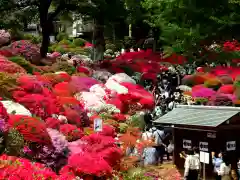 根津神社(東京都)