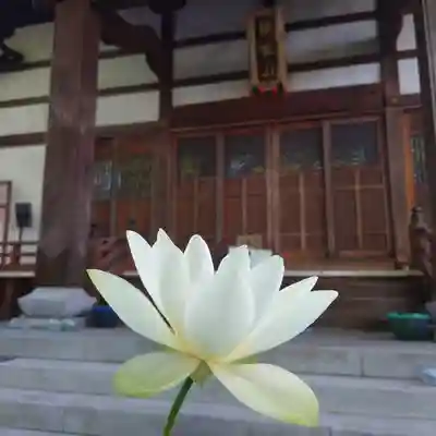 三澤寺(長野県)