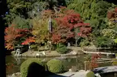 清凉寺の庭園