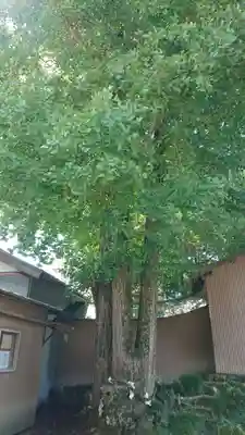 三嶋神社のその他建物
