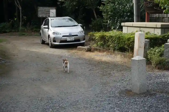 板倉雷電神社の動物