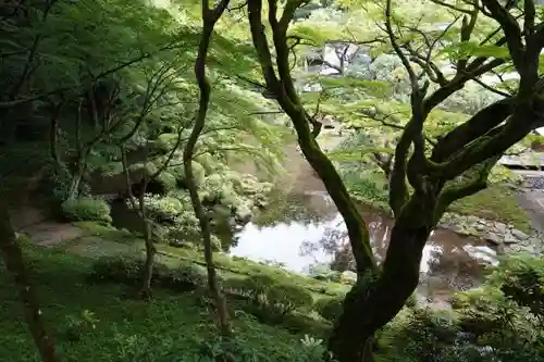 千如寺大悲王院の庭園