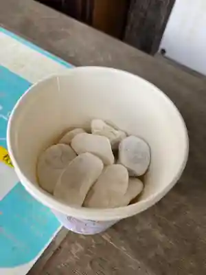 岡部春日神社～👹鬼門よけの🌺花咲く🌺やしろ～(福島県)