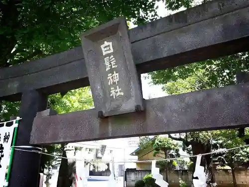 白髭神社の鳥居