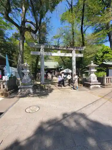 野木神社の鳥居