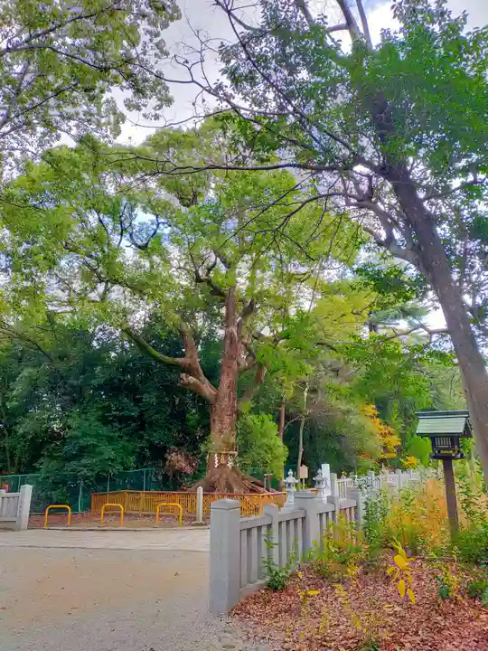 和泉國一之宮 大鳥大社(大阪府)
