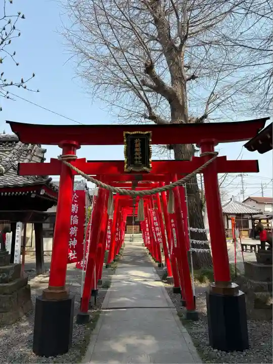 於菊稲荷神社(群馬県)