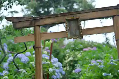 白山神社の鳥居