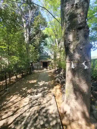 伊勢神社のその他建物