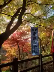 唐澤山神社(栃木県)