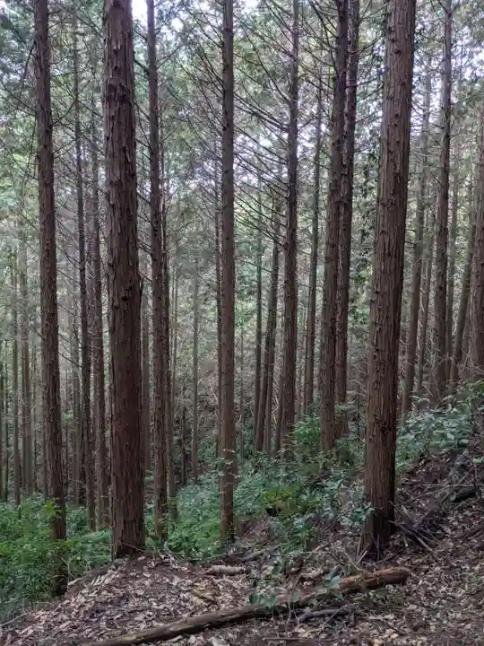 猿投神社の自然