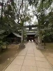 赤坂氷川神社(東京都)