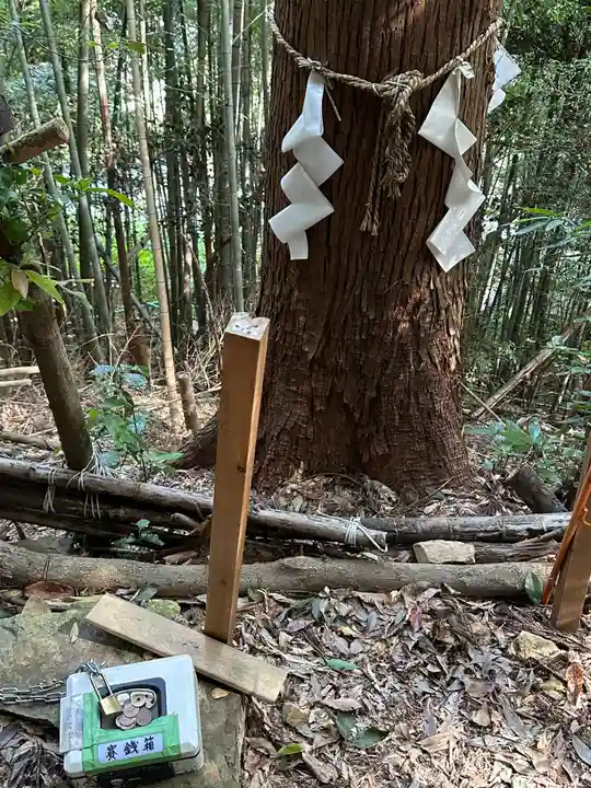 高尾山麓氷川神社(東京都)