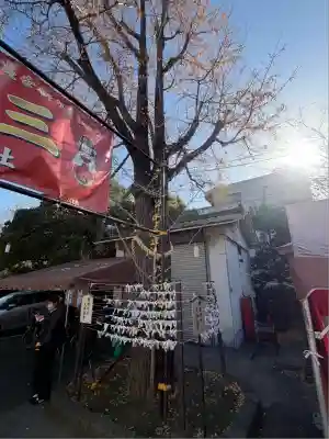 溝口神社(神奈川県)