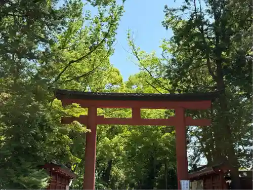 武蔵一宮氷川神社(埼玉県)