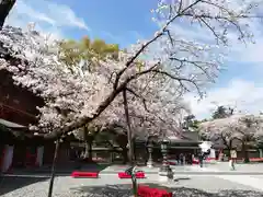 富士山本宮浅間大社の庭園