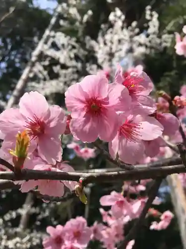 敢國神社の自然