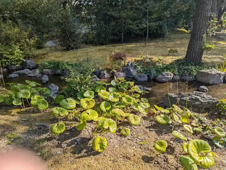 城南宮(京都府)