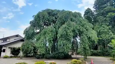 妙福寺(栃木県)