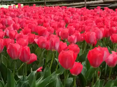 泉蔵寺(神奈川県)