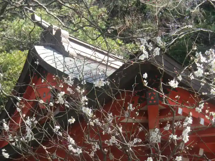 荏柄天神社の本殿・本堂