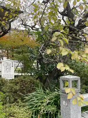 泉岳寺(東京都)