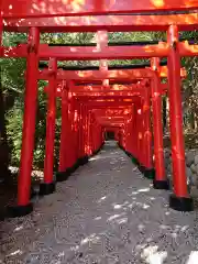 二川伏見稲荷の鳥居