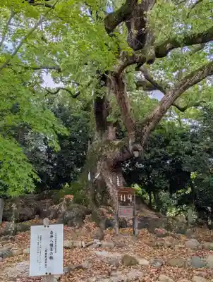 壺井八幡宮(大阪府)