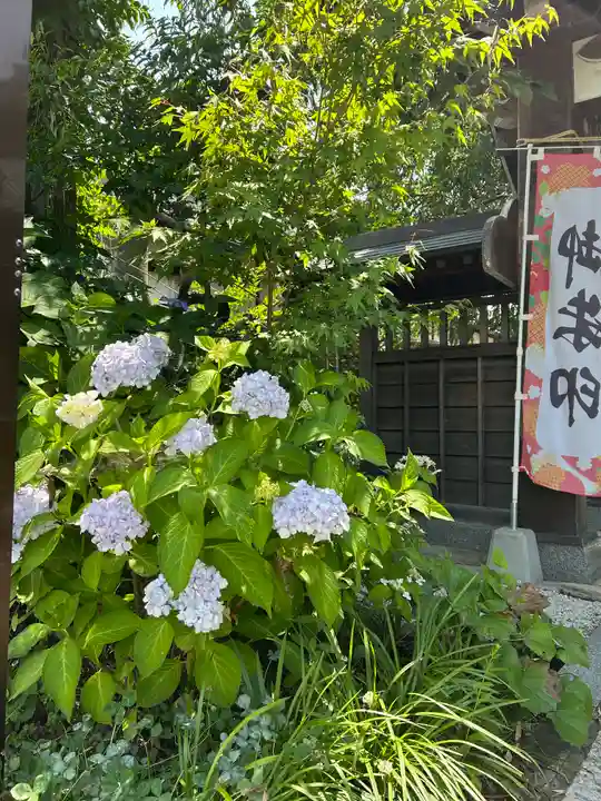 長光寺(長野県)