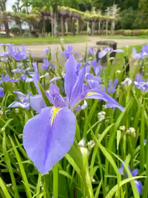 賀茂神社(愛知県)